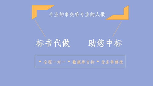 成都专业项目计划书撰写、报告定制与项目策划公关一体化服务指南