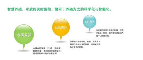 湖北武汉蕲春众亿水产养殖项目 项目策划与公关服务深度融合的全方位方案